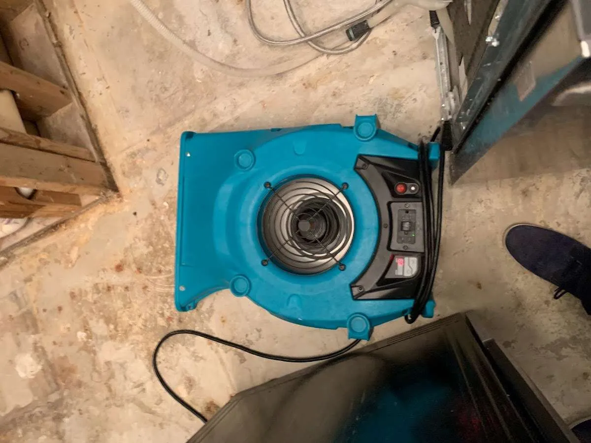 Air mover drying equipment for Mold Remediation & Removal in Penn Forest